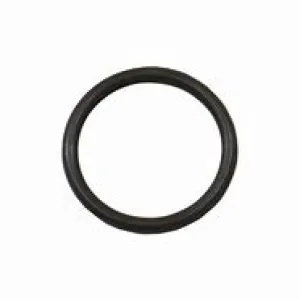 1140450 O-RING MINIMATIC by AR PUMPS (3391)