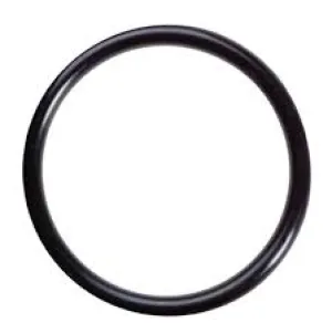 23170 O-RING, DRAIN PLUG by CAT PUMPS (2687)