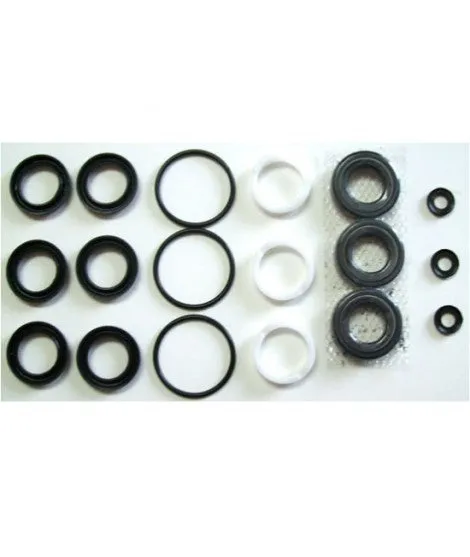 30914 SEAL KIT 230,240,270 by CAT PUMPS (2706)