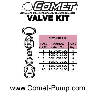 5025.0014.00 CHECK VALVE KIT by COMET PUMPS  (5731)