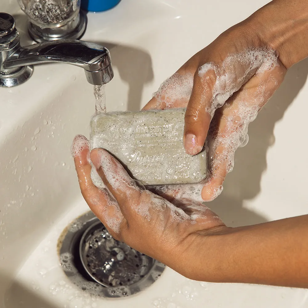 EXFOLIATING BODY BAR