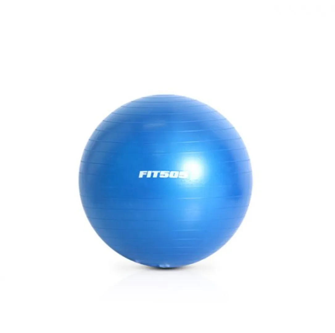 Fit505 Stability Balls