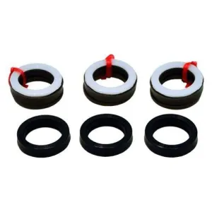 KIT 2543 CERAMIC PISTONS by AR PUMPS (6487)